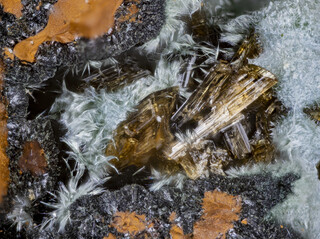 Deutschland/Bayern/Oberpfalz, Bezirk/Neustadt an der Waldnaab, Landkreis/Waidhaus/Hagendorf/Hagendorf-Süd (Grube Cornelia)