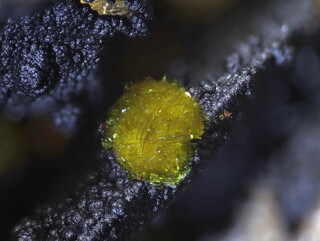 Deutschland/Baden-Württemberg/Freiburg, Bezirk/Ortenaukreis/Oberwolfach/Grube Clara