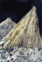 Deutschland/Nordrhein-Westfalen/Arnsberg, Bezirk/Siegen-Wittgenstein, Kreis/Wilnsdorf, Gemeinde/Niederdielfen, Ortsteil/Alter Grimberg