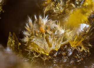 Deutschland/Bayern/Oberpfalz, Bezirk/Neustadt an der Waldnaab, Landkreis/Waidhaus/Hagendorf/Hagendorf-Süd (Grube Cornelia)