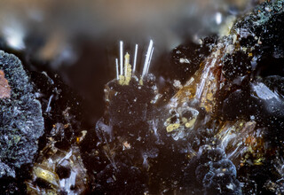 Deutschland/Bayern/Oberpfalz, Bezirk/Neustadt an der Waldnaab, Landkreis/Waidhaus/Hagendorf/Hagendorf-Süd (Grube Cornelia)