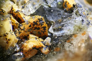 Deutschland/Sachsen-Anhalt/Harz, Landkreis/Oberharz am Brocken, Stadt/Tanne-Trautenstein/Giepenbachtal