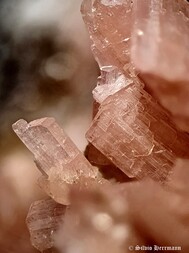 Kanada/Québec, Provinz/Montérégie, Region/La Vallée-du-Richelieu RCM/Mont Saint-Hilaire/Poudrette Quarry (Demix Quarry; Uni-Mix Quarry; Desourdy Quarry)