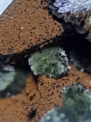 Schweden/Norrbotten, Provinz/Kiruna/Svappavaara/Leveäniemi Eisenmine