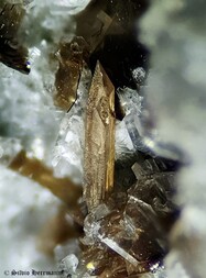 Italien/Latium (Lazio), Region/Viterbo, Provinz/Onano/Montenero (Pozzolana) Steinbruch