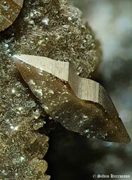 Frankreich/Auvergne-Rhône-Alpes, Région/Savoie, Département/Saint-Jean-de-Maurienne, Arrondissement/Notre-Dame-du-Cruet