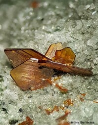 Schweiz/Graubünden, Kanton/Surselva, Region/Safiental