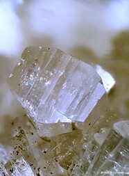 UK/Schottland/Highland/Strontian