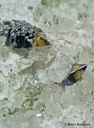 Frankreich/Auvergne-Rhône-Alpes, Région/Isère, Département/Grenoble, Arrondissement/Saint-Christophe-en-Oisans/Plan-du-Lac