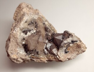 Deutschland/Thüringen/Gotha, Landkreis/Ohrdruf, Stadtgemeinde/Gräfenhain, Ortsteil/Brandkopf