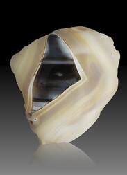 Deutschland/Rheinland-Pfalz/Birkenfeld, Landkreis/Baumholder, Verbandsgemeinde/Hahnweiler/Äcker südlich Hahnweiler