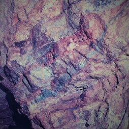 Deutschland/Baden-Württemberg/Freiburg, Bezirk/Waldshut, Landkreis/St. Blasien, Stadtgemeinde/Menzenschwand, Ortsteil/Krunkelbach