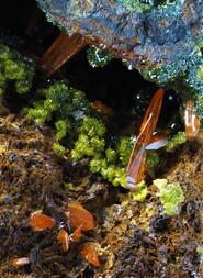 Australien/Tasmanien/West Coast Municipality/Zeehan District/Dundas/Platt Prospect