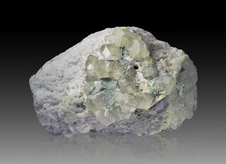 USA/Colorado/Chaffee County/Mt. Antero