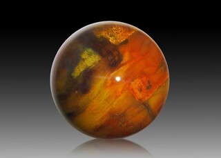 USA/Arizona/Apache County/Petrified Forest National Monument/Petrified Forest