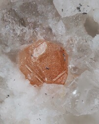 Deutschland/Rheinland-Pfalz/Mayen-Koblenz-Kreis/Vordereifel, Verbandsgemeinde/Ettringen/Bellerberg/Ettringer Bellerberg (Stbr. Caspar)