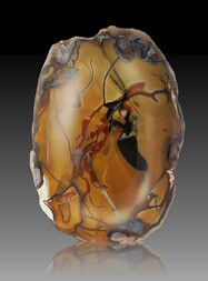 Deutschland/Rheinland-Pfalz/Birkenfeld, Landkreis/Baumholder, Verbandsgemeinde/Hahnweiler/Äcker nordöstlich von Hahnweiler