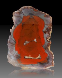 Deutschland/Rheinland-Pfalz/Birkenfeld, Landkreis/Baumholder, Verbandsgemeinde/Hahnweiler/Äcker nordöstlich von Hahnweiler