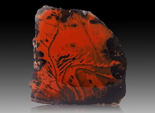 Deutschland/Rheinland-Pfalz/Birkenfeld, Landkreis/Baumholder, Verbandsgemeinde/Hahnweiler/Äcker nordöstlich von Hahnweiler