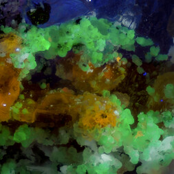 Tschechien/Karlovarský kraj (Karlsbad)/Sokolov, Okres (Falkenau)/Horní Slavkov, Obec (Schlaggenwald, Gemeinde)/Krásno, Město (Schönfeld)/Huberstock (Hubr; Huber open pit; Hubský peň)