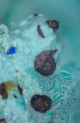 Österreich/Tirol/Kufstein, Bezirk/Reith im Alpbachtal, Gemeinde/St. Gertraudi/Reither Kogel/Kleinkogel/Jungfrauenzeche