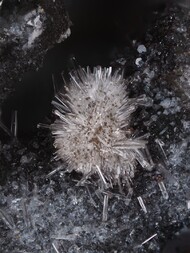 Deutschland/Rheinland-Pfalz/Vulkaneifel, Landkreis/Daun/Üdersdorf/Emmelberg