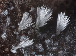 Deutschland/Rheinland-Pfalz/Vulkaneifel, Landkreis/Daun/Üdersdorf/Emmelberg