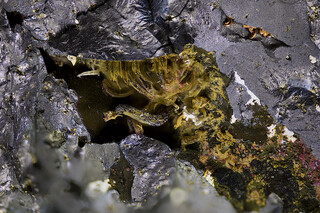 Deutschland/Sachsen-Anhalt/Mansfeld-Südharz, Landkreis/Hettstedt/Kupfer-Silberhütte (Gottesbelohnung)