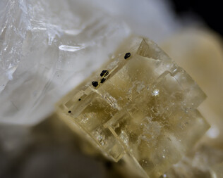 USA/Iowa/Black Hawk County/Raymond/Pint's Quarry