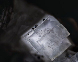 USA/Iowa/Black Hawk County/Raymond/Pint's Quarry