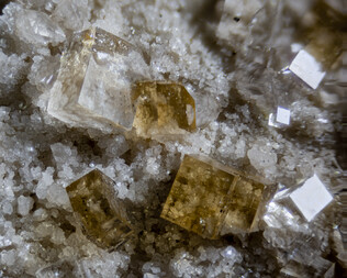 USA/Ohio/Ottawa County/Clay Center