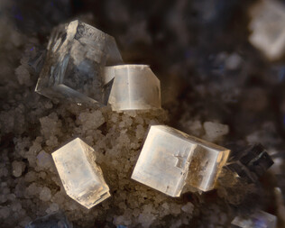 USA/Ohio/Ottawa County/Clay Center