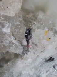 Schweden/Dalarna, Provinz/Hedemora/Garpenberg/Norra