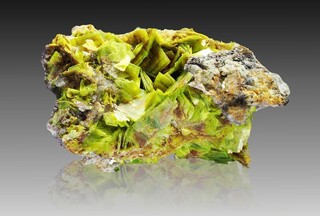 Deutschland/Sachsen/Vogtlandkreis/Bergen/Streuberg (Schacht 254)