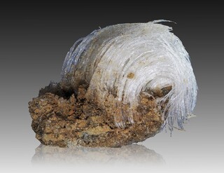 Polen/Kleinpolen (Malopolskie), Woiwodschaft/Bochnia (Bocheński), Powiat/Salzberg (Bochnia)