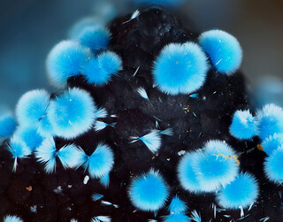 Deutschland/Baden-Württemberg/Freiburg, Bezirk/Ortenaukreis/Oberwolfach/Grube Clara