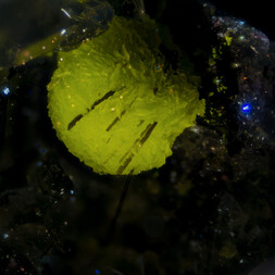 Namibia/Khomas, Region/Windhoek-Land, Kreis/Aris/Aris-Steinbrüche (Ariskop Quarry; Railway Quarry)
