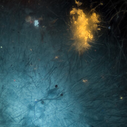 Namibia/Khomas, Region/Windhoek-Land, Kreis/Aris/Aris-Steinbrüche (Ariskop Quarry; Railway Quarry)