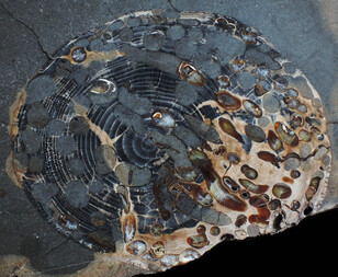 USA/North Dakota/Morton County/Cannonball River