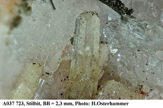 Deutschland/Thüringen/Saale-Orla-Kreis/Wurzbach/Weitisberga/Steinbruch Henneberg