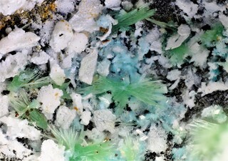 Deutschland/Niedersachsen/Goslar, Landkreis/Schulenberg im Oberharz/Oberschulenberg/Silberbach