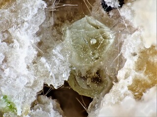 Deutschland/Rheinland-Pfalz/Mayen-Koblenz-Kreis/Vordereifel, Verbandsgemeinde/Ettringen/Bellerberg/Ettringer Bellerberg (Stbr. Caspar)