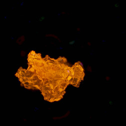 Deutschland/Baden-Württemberg/Freiburg, Bezirk/Ortenaukreis/Oberwolfach/Grube Clara