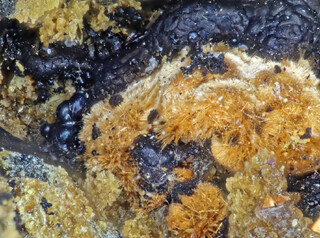 Deutschland/Bayern/Niederbayern, Bezirk/Regen, Landkreis/Zwiesel, Stadt/Rabenstein, Ortsteil/Hühnerkobel