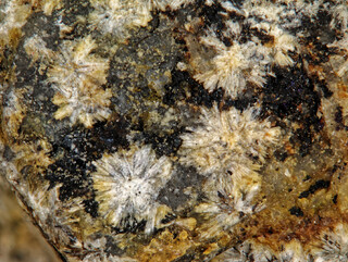 Deutschland/Bayern/Niederbayern, Bezirk/Regen, Landkreis/Zwiesel, Stadt/Rabenstein, Ortsteil/Hühnerkobel