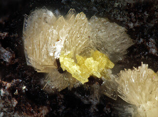 Deutschland/Bayern/Niederbayern, Bezirk/Regen, Landkreis/Zwiesel, Stadt/Rabenstein, Ortsteil/Hühnerkobel