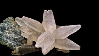 Brasilien/Süden (Região Sul)/Rio Grande do Sul/Alto Uruguai-Gebiet/Iraí (Irai)