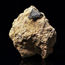 Italien/Toskana (Toscana)/Siena, Provinz/Poggio alle Mura