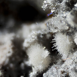 Deutschland/Rheinland-Pfalz/Mayen-Koblenz-Kreis/Mendig, Verbandsgemeinde/Bell/Rothenberg