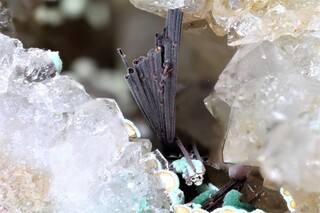 Deutschland/Baden-Württemberg/Karlsruhe, Bezirk/Freudenstadt, Landkreis/Baiersbronn/Schönegründ/Grube Königswart